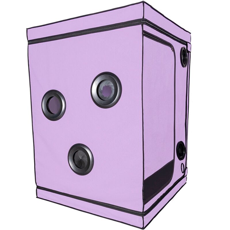 SECRET DOME Kink Club Scandale Purple BDSM kabina