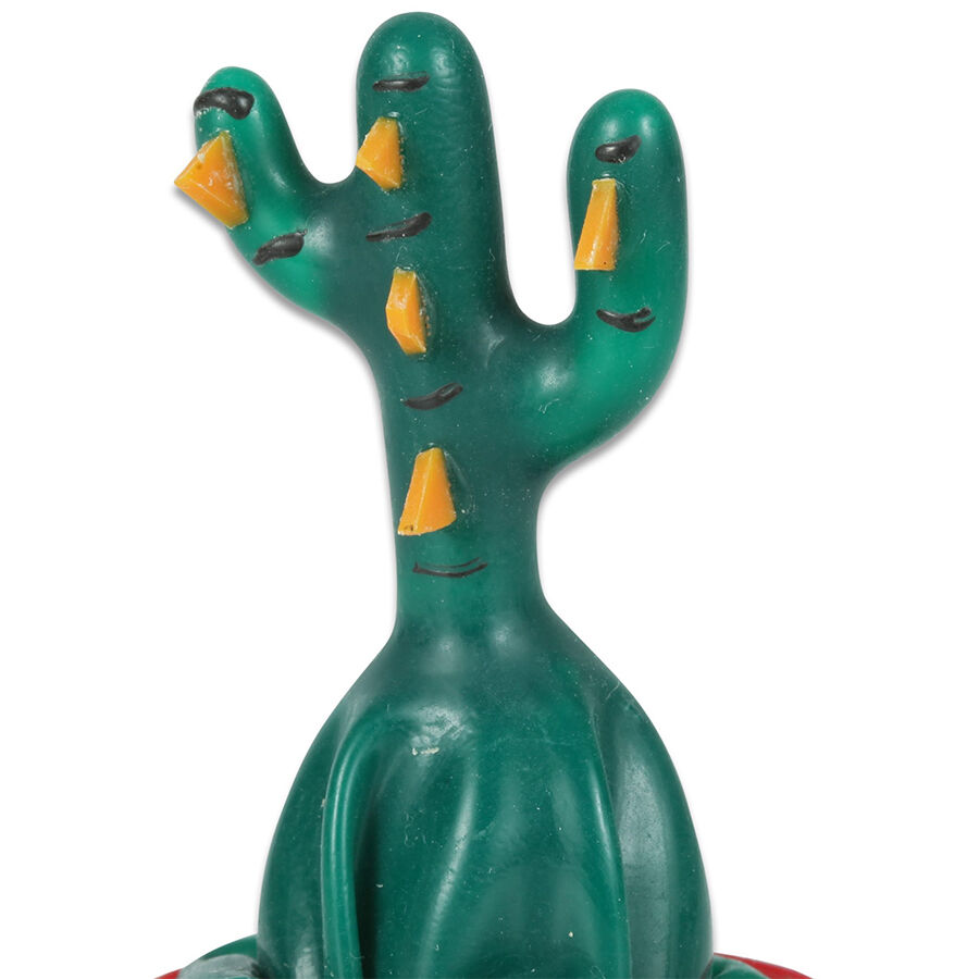 CONDOMERIE Cactus, duhovit erotski poklon